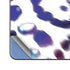 Lavish Leopard Galaxy Z Fold5 5G Skin